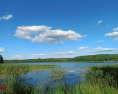 Działka, Zwierzewo | Zdjęcie 1