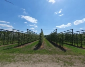 5 do wyboru na Klonowej, wymarzona lokalizacja | Zdjęcie 7