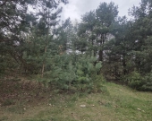 Złota, wz 5 domów jedno lub dwulokalowych, media | Zdjęcie 4