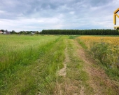 Działka z wydanymi warunkami zabudowy w gminie Lis | Zdjęcie 3