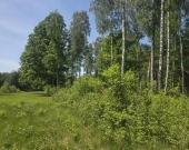 za Sarnią, 3 do wyboru, warunki zabudowy | Zdjęcie 9