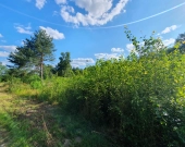 Krucza blisko Złotej, wz, lokalizacja, media | Zdjęcie 6