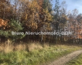 Sprzedam działkę zadrzewioną w gm Mykanw | Zdjęcie 9