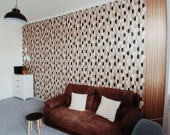 2pok, 60met, okolice Bolesława Prusa (Wrocław) | Zdjęcie 1