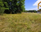 Działka z warunkami zabudowy gmina Pilzno | Zdjęcie 6