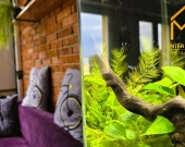 Mieszkanie 32 m2 po kapitalnym remoncie ul. Skowro | Zdjęcie 6