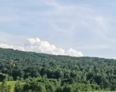 Działki leśne - 6 hektarów | Zdjęcie 1