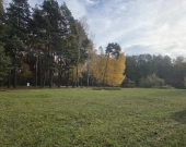 Wiązowna Kościelna z lasem, wz, mediami, | Zdjęcie 2