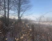 MPZP, spokój, blisko stawy i kąpielisko | Zdjęcie 5