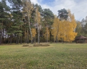 Wiązowna Kościelna z lasem, wz, mediami, | Zdjęcie 4