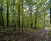 Lipnica Dolna - 7 hektarów 33 ary | Zdjęcie 12