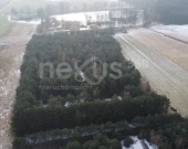 Kilka działek do wyboru | Zdjęcie 4