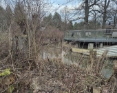 Złota, zejście do Mieni, drzewa, lokalizacja | Zdjęcie 6