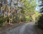 wz na 5 domów, prywatny las, lokalizacja | Zdjęcie 5