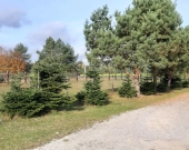 1679m.kw.- 87zł/m.kw. | Zdjęcie 7