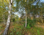 wz, lokalizacja, możliwość dokupienia działek obok | Zdjęcie 9