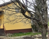 Dom z gospodarstwem | Zdjęcie 3