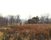 Duża działka Bobrowniki | Zdjęcie 1