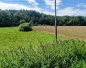 Łąka blisko drogi głównej w Lubczy | Zdjęcie 5
