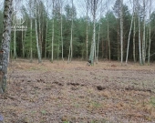 Działka w otoczeniu lasu, nad Zalewem Siemianówka | Zdjęcie 3