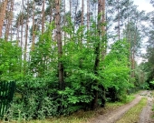 Działka dla Ciebie i Twojej rodziny dom/rekreacja Włodzimierz | Zdjęcie 5