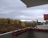 2pok, 49met, Okolice Wiejskiej BALKON/2018 (Wrocław) | Zdjęcie 10