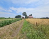 Działka Budowlana (2000 m2) MEDIA (Brzozowiec) | Zdjęcie 5