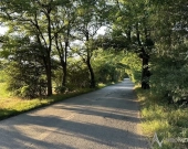 Usługowa * 1,3ha * strefa Jelcz-Laskowice | Zdjęcie 2