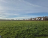 Sprzedam działkę zadrzewioną w gm Mykanw | Zdjęcie 2