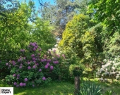 10pok, 480met, Tarninów TARAS / PIWNICA / GARAŻ / OGRÓD (Legnica) | Zdjęcie 6