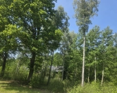 na końcu zamkniętej uliczki, za działką las, wz | Zdjęcie 2