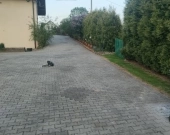 Piekny duzy dom z duzą działką (54ar) | Zdjęcie 7