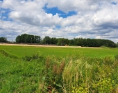 Działki w Dobrzyniewie! | Zdjęcie 5