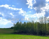 Działka z linią brzegową do jeziora Boczniel ! | Zdjęcie 5