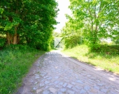 Działki budowlane w Lubniewicach, od 1000 mkw | Zdjęcie 7