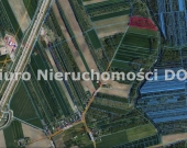 Sprzedam działkę zadrzewioną w gm Mykanw | Zdjęcie 3