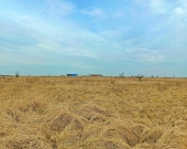 Sprzedaż działki budowlanej w okolicach Środy Śląskiej. | Zdjęcie 4