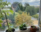 3pok, 72met, Okolice Zawalnej BALKON/KOMÓRKA/GARAŻ (Wrocław) | Zdjęcie 7