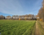 Sprzedam działkę zadrzewioną w gm Mykanw | Zdjęcie 1