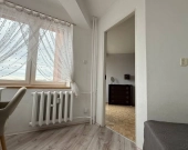 2pok, 34met, Okolice Augusta Mosbacha PIWNICA/WINDA (Wrocław) | Zdjęcie 13