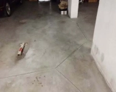 2 Miejsca Postojowe (22m2) okolice Placu Kromera (Wrocław) | Zdjęcie 2