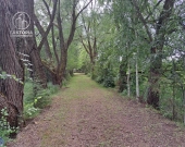 Duża działka idealna pod inwestycję | Zdjęcie 3