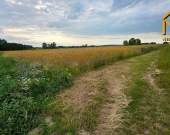 Działka rolna 0,37 ha w Łukowej | Zdjęcie 6