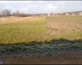 Cztery działki rolne | Zdjęcie 4