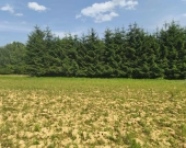 Działka budowlana w miejscowości Siedliska | Zdjęcie 11