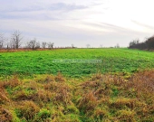 Działki budowlane w Święte. | Zdjęcie 3