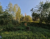 Działka rolna | 3000 m2 | cena do negocjacji | Zdjęcie 4