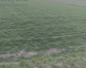 Racaławice 16 arów, płaska | Zdjęcie 3