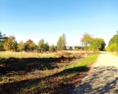 Atrakcyjna działka budowlana Rogoźnik | Zdjęcie 3