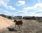 2pok, 62met, okolice Wrzosowej TARAS/OGRÓD/2025 (Syców) | Zdjęcie 12